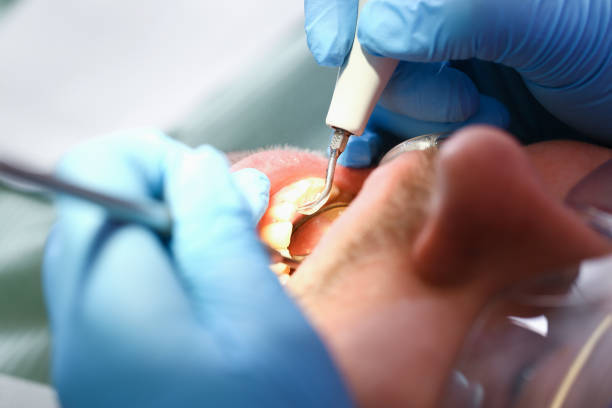 Best Emergency Pediatric Dental Care in Marshall, MI